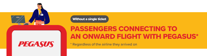 Pegasus airlines bilet on sale